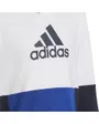 Sweat à capuche Enfant U CB HOODIE Blanc
