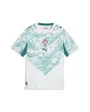 Maillot de football Enfant FPF AWAY JERSEY REPLICA JR Vert