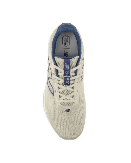 Chaussures De Running Homme Fresh Foam 520 V9