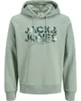Sweat À Capuche Homme Jjgeplas