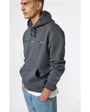 Sweat à capuche Homme Gris