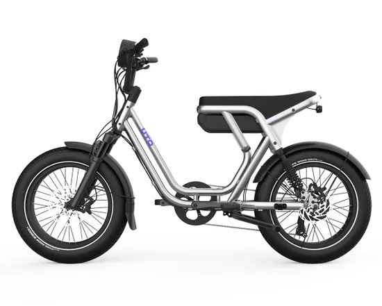 Freighter Double R Vélo cargo électrique OG200 Métallique - Ref OG200-MS-MS