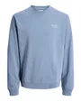 Sweat Homme JJEARCHIVE Graphic Sweat Crew Neck Noos