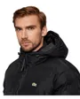 Veste Matelassée Homme Lacoste BH9221