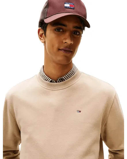 Sweat Homme Regular Flag Crew