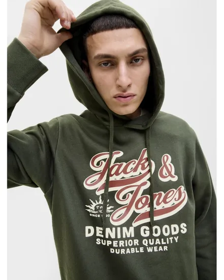 Sweat à capuche Homme JJELOGO SWEAT HOOD 2 COL 25/26 NOOS Vert