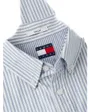 Chemise Oxford Homme TJM Reg Stripe