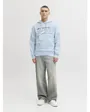 Sweat à capuche Homme JJELOGO SWEAT HOOD 2 COL 25/26 NOOS