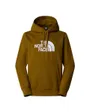 Sweat à capuche Homme M DREW PEAK PULLOVER HOODIE Vert