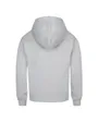 Sweat à capuche Enfant JDG WJ PSG PO HOODIE 23 Gris