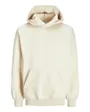 Sweat à Capuche Homme JJEURBAN Edge