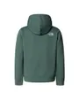 Sweat à capuche Enfant B DREW PEAK P/O HOODIE Vert