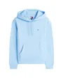 Sweat à capuche Femme TJW REG S FLAG