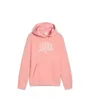 Sweat à capuche Fille PUMA CLASS HOODIE TR G Rose