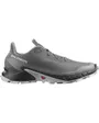 Chaussures de trail Homme SHOES ALPHACROSS 5 Gris