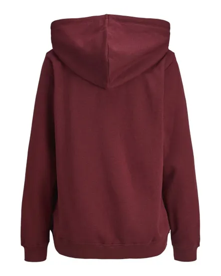 Sweat à capuche Femme JXABBIE RLX LS EVERY HOOD SWT NOOS Bordeaux