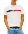 Tee-Shirt Homme Signature Stripe