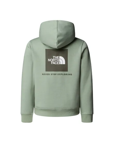 Sweat à capuche Enfant TEEN BOX NSE REGULAR PULLOVER HDIE Vert