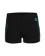 Short de bain Enfant BOY S ARENA REFLECTING SWIM SHORT Noir