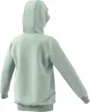 Sweatshirt à capuche manches longues Enfant U BOS HD Gris