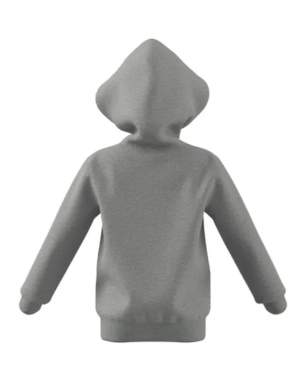 Sweat a capuche manches longues Enfant LK BL FT HD Gris