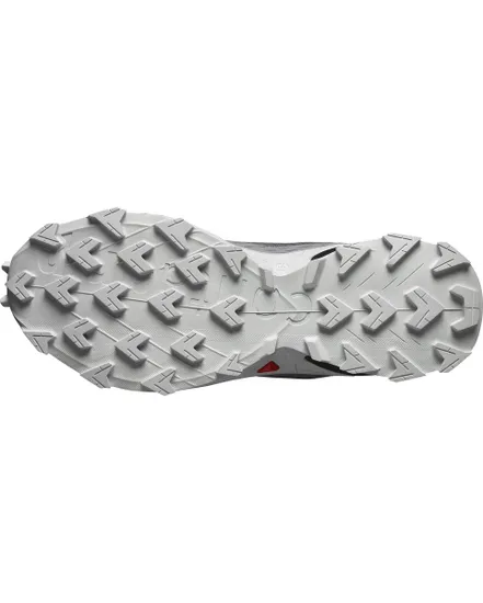 Chaussures de trail Homme SHOES ALPHACROSS 5 Gris