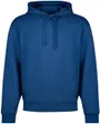 Sweat à capuche Homme DAPO Bleu Medium
