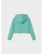 NKFJUKA LS CROPPED BOXY SWEAT WH BRU PS