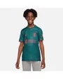 Maillot de football Enfant plus âgé LFC Y NK DF STAD JSY SS 3R Vert