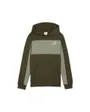 Sweat À Capuche Homme Ess Block Logo