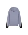 Sweat à capuche Homme ESS BLOCK HOODIE TR