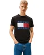 Tee-Shirt Homme Big Flag SS