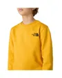 Sweat-Shirt Fille Summit Gold The North Face