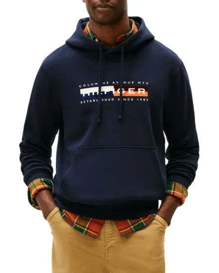 Sweat À Capuche Homme TH Colour Block Graphic Hoodie