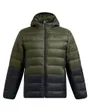 Veste À Capuche Homme Legend Down