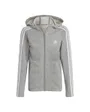 Sweat zip à capuche Enfant G 3S FZ HD Gris