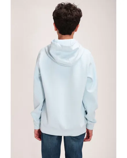 Sweat à capuche Enfant S-EVRY HOODY JR Bleu