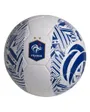 Ballon de football FFF GRAPHIQUE BLANC T5 Blanc