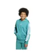 Sweat à capuche Enfant J 3S FL HD 225 Bleu