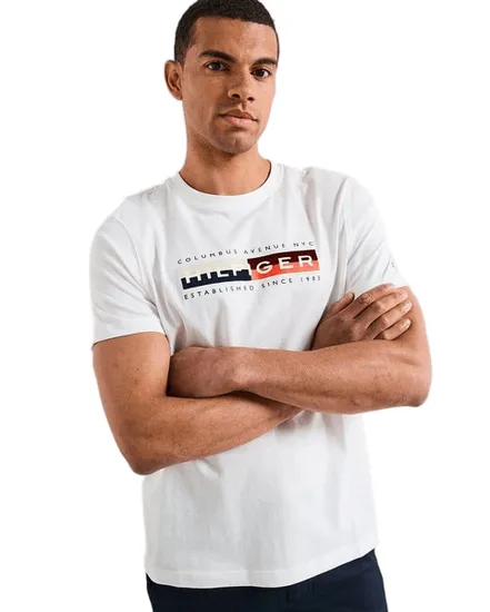 T-shirt col rond Homme TH COLOUR BLOCK GRAPHIC TEE Blanc