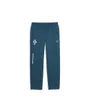 Pantalon de survetement Homme FPF PUMATECH SWEATPANTS Bleu