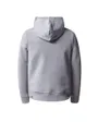 Sweat à capuche manches longues Enfant B DREW PEAK P/O HOODIE Gris