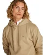 Sweat à Capuche Homme TJM Regular Flag Hoodie
