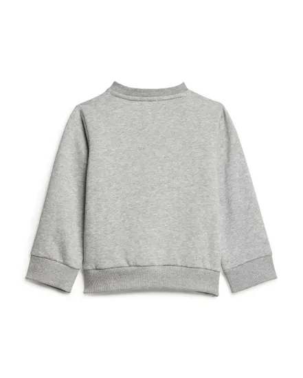 Ensemble de survetement Bébé I BL FL JOG 240 Gris