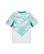 Maillot de football Enfant FPF AWAY JERSEY REPLICA JR Vert