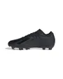 Crampons de football Unisexe X CRAZYFAST.3 FG Noir