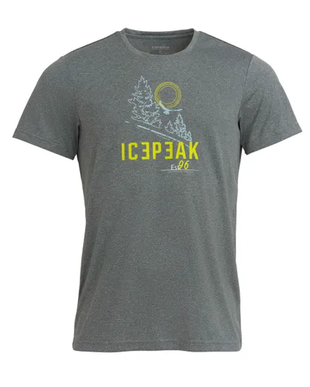 T-Shirt Homme BEARDEN Gris