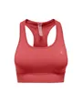 ONPDAISY-2 SEAM SPORTS BRA NOOS