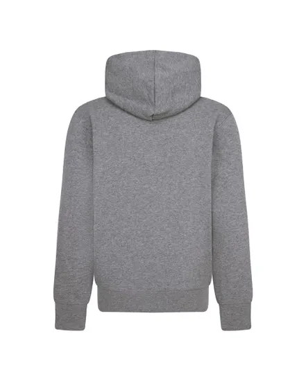 Sweat à capuche Enfant plus agé JDB MJ BROOKLYN FLC PO Gris
