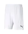 Short Homme TeamRise